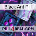 Black Ant Pill 37